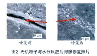 圖2 無機粒子與水分反應后膨脹修復照片